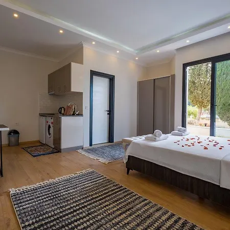 アパートホテル Tanrise House フェティエ