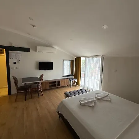 Tanrise House アパートホテル フェティエ