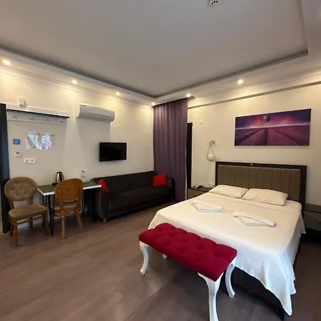 Tanrise House アパートホテル フェティエ
